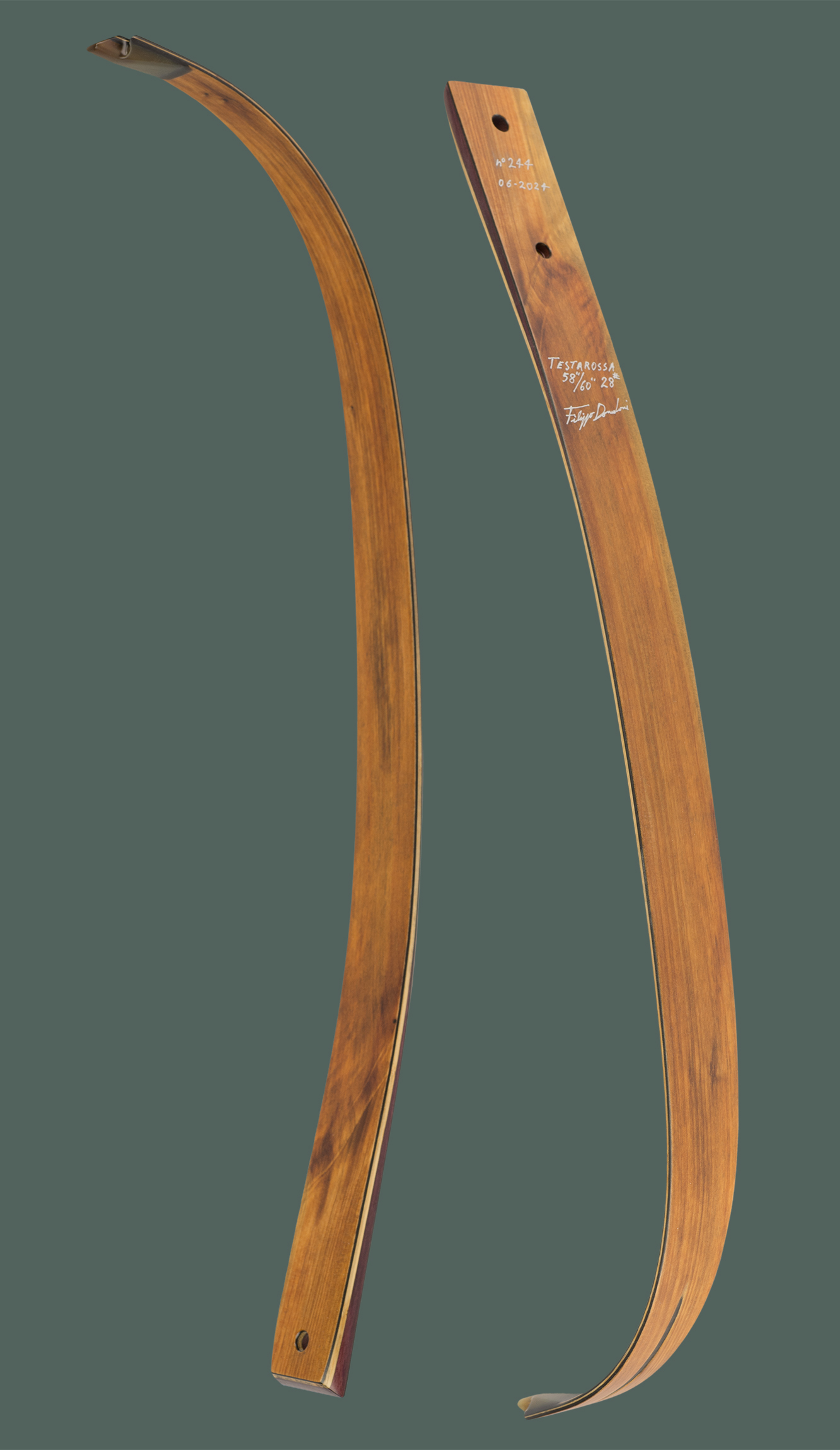 limbs CarbonWood Tasso