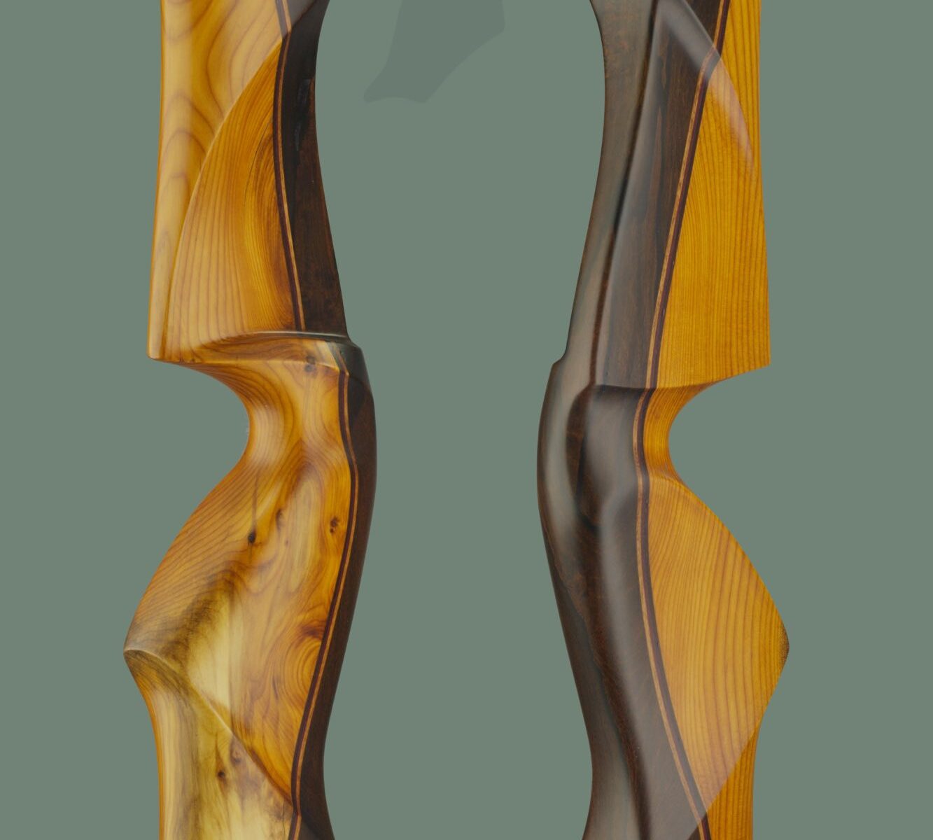riser 500 LH 203 Ziricote-Yew